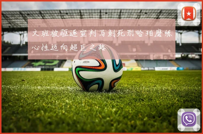 文班被驱逐宣判马刺死刑哈珀磨练心性迈向超巨之路