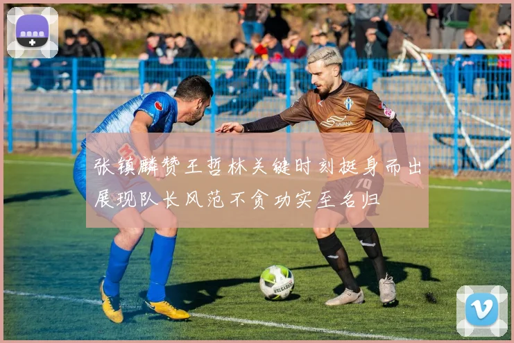 张镇麟赞王哲林关键时刻挺身而出展现队长风范不贪功实至名归